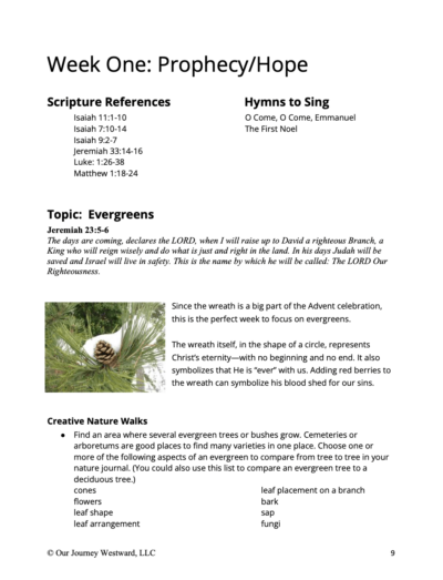 text of homeschool curriculum